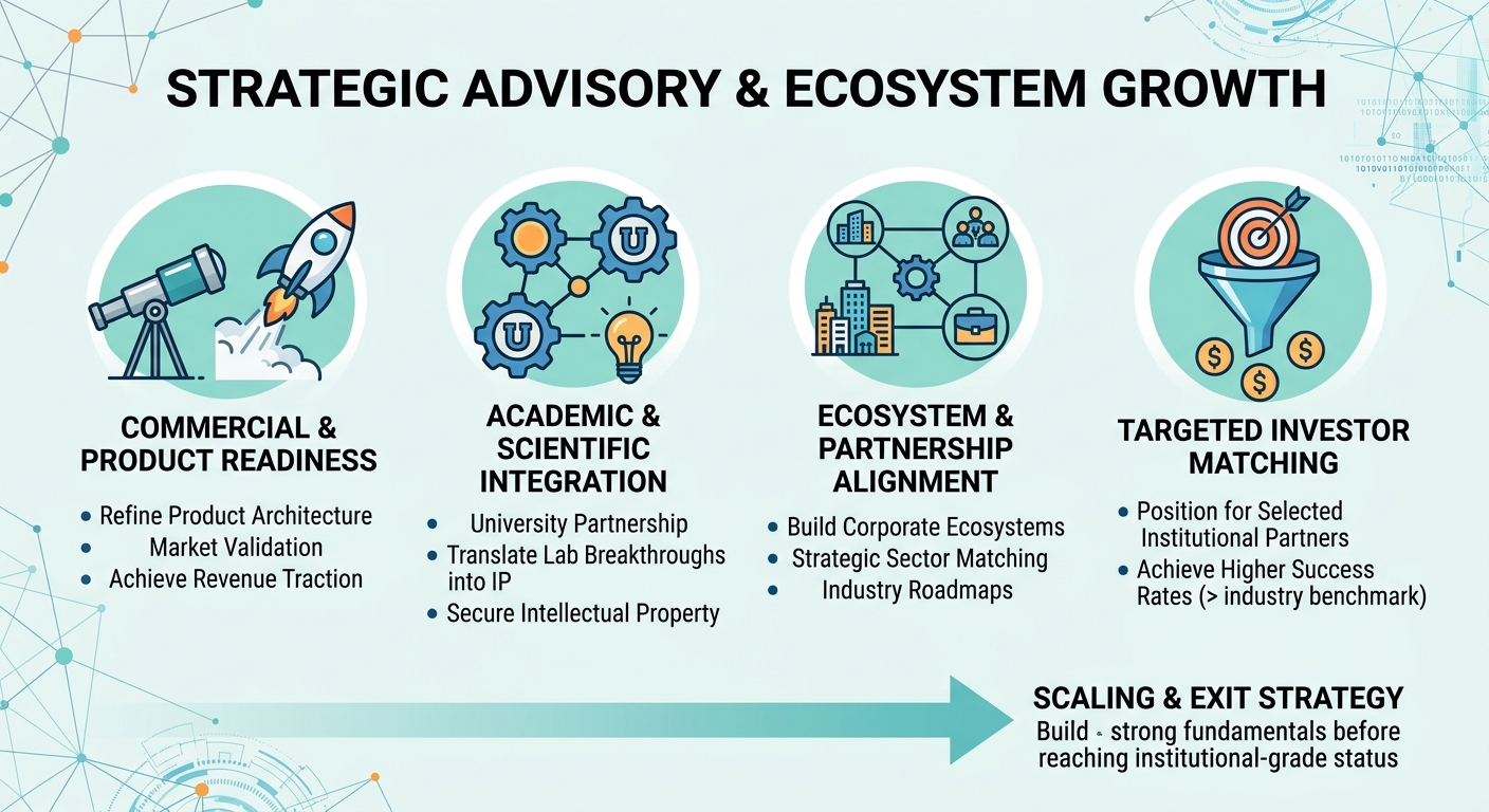 Strategic Advisory Beyond Traditional Venture Capital for Scale-Ups and Research Spin-Outs Taiwan
